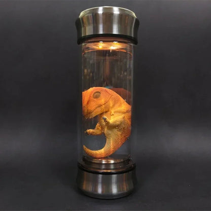 Logan's Dino Lamps